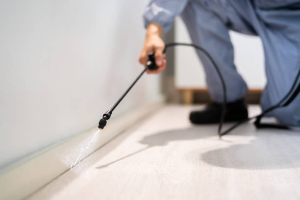 Licensed Rodent Control service in Virden, IL - Nex Pest Control