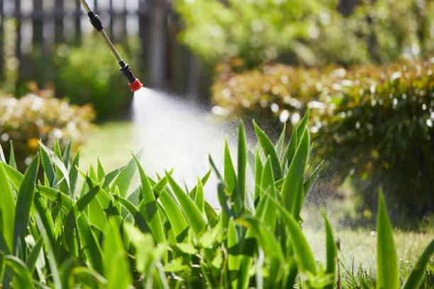 24/7 Emergency Rodent Control experts in Virden, IL
