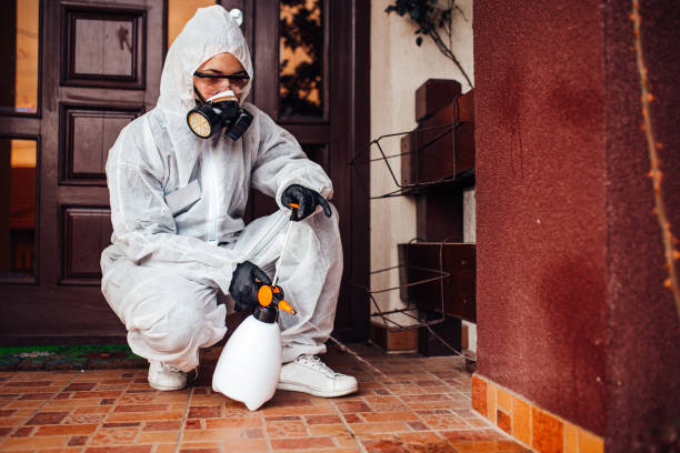 Reliable Rodent Control contractor in Virden, IL by Nex Pest Control