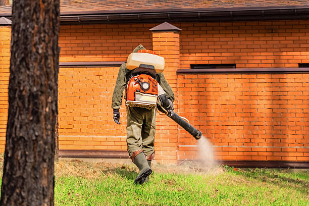 Trusted Rodent Control service in Virden, IL - Nex Pest Control